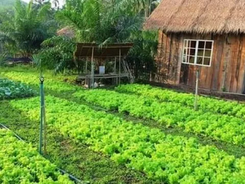Thu nhập 15 triệu đồng/tháng, làm 10 năm ở Hà Nội vẫn chưa mua được nhà, tôi có nên về quê?