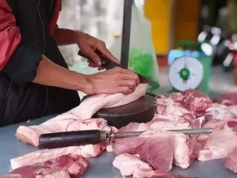 Giá heo hơi hôm nay 20/9: Bất ngờ chững giá, toàn quốc dao động trong khoảng 55.000 - 60.000 đồng/kg