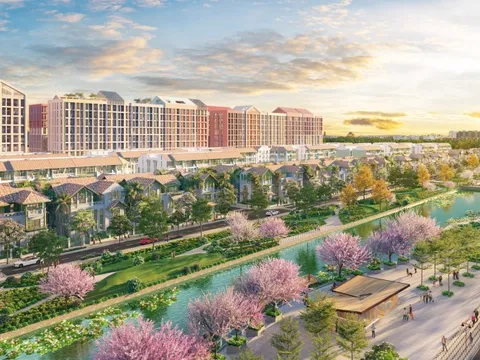 Cư dân Flora Avenue: Sống giữa sắc hoa, sống giữa cân bằng