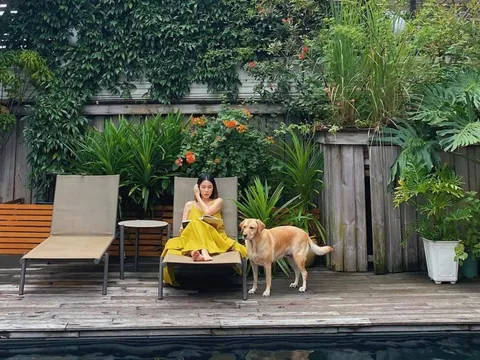 Nữ diễn viên ở biệt thự dát vàng, được lên phóng sự Hàn Quốc về cuộc sống của giới siêu giàu Việt Nam