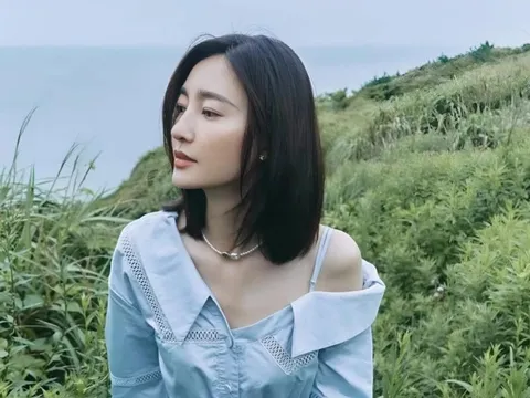Chồng bị bắt vì lừa đảo nghìn tỷ, một nữ diễn viên 8X vội ly hôn thoát thân, sự nghiệp lao dốc