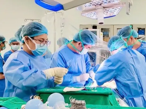 Mẹ quyết hiến gan cứu con dù bất đồng nhóm máu 0