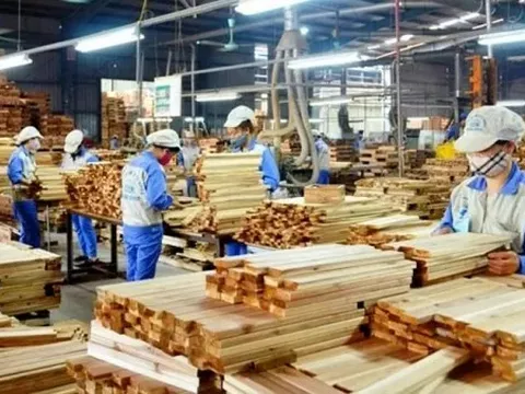 Phản ứng của Việt Nam trước việc Mỹ áp dụng thuế lên đỗ gỗ và nội thất