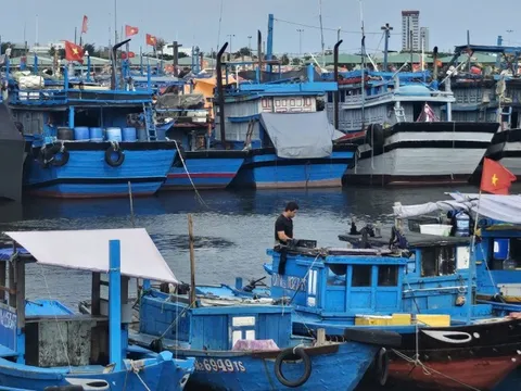 Đà Nẵng kêu gọi người dân trữ lương thực, nhu yếu phẩm ít nhất 3 ngày phòng lũ lớn