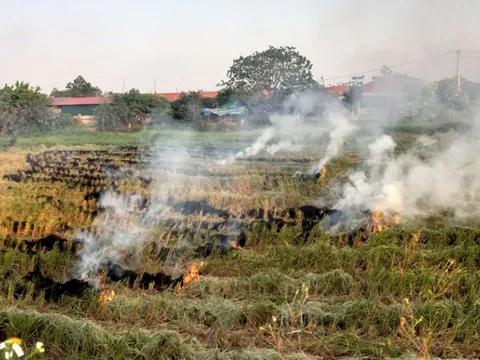 Xử lý hoạt động đốt phế phụ phẩm nông nghiệp ngoài trời gây ô nhiễm không khí