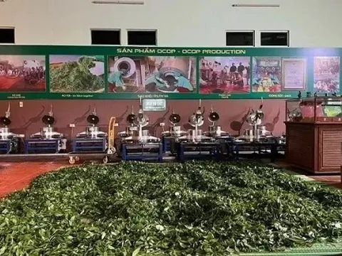 VCCI kiến nghị Thủ tướng gỡ vướng về thuế giá trị gia tăng cho nông sản Việt