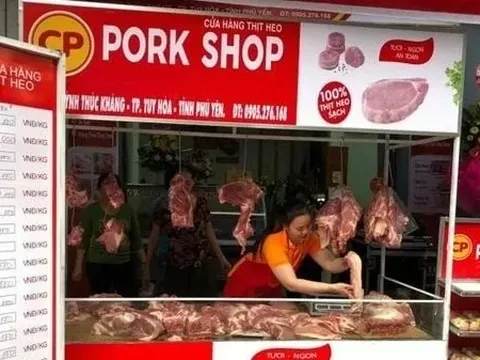 Giá heo hơi hôm nay 31/10: Miền Bắc giảm nhẹ, miền Trung và Nam ổn định