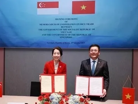 Singapore có thỏa thuận đầu tiên về thương mại gạo, vì sao chọn Việt Nam?