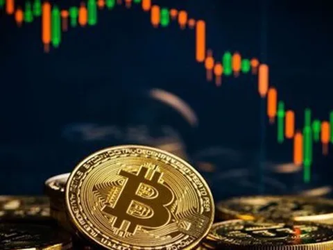 Thị trường tiền số hôm nay, 2-11: Cảnh báo chiêu lừa có thể khiến nhà đầu tư mất sạch