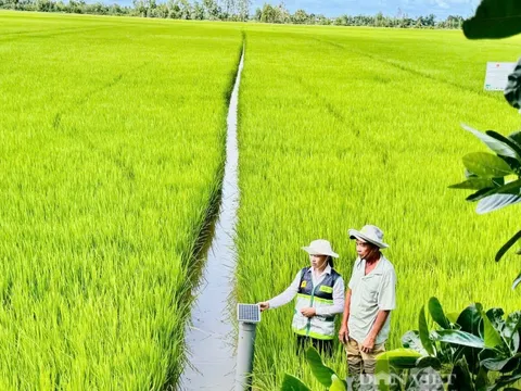 Phát huy truyền thống 80 năm, ngành Nông nghiệp và Môi trường hướng tới chặng đường phát triển mới