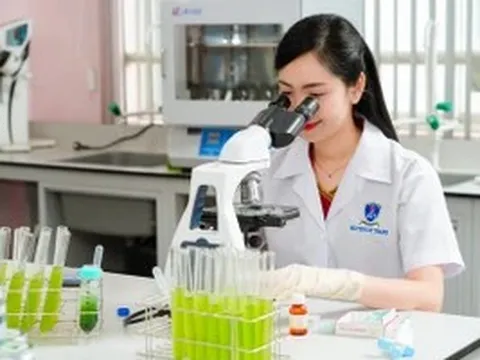 Nhiều chính sách đột phá đào tạo nhân lực chất lượng cao theo chuẩn quốc tế