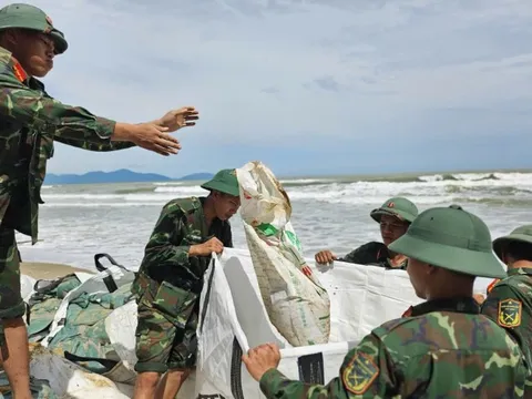 Nỗ lực dựng kè chắn sóng, bảo vệ bờ biển Hội An trước bão Kalmaegi