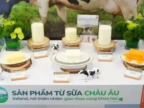Ra mắt 'Chiến dịch sữa châu Âu – Ireland, nơi thiên nhiên giao thoa cùng khoa học'