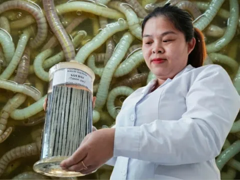 Bên trong bảo tàng lưu giữ những 'kẻ ký sinh' nguy hiểm nhất với con người 0