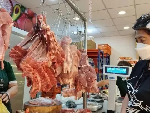 Giá heo hơi hôm nay 7/11: Lao dốc không phanh trên cả 3 miền