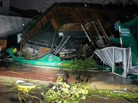 Hỗ trợ khẩn cấp 80 tỷ đồng cho 3 tỉnh Quảng Ngãi, Gia Lai, Đắk Lắk khắc phục hậu quả bão số 13