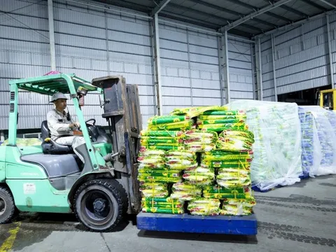 PVCFC khẩn cấp hỗ trợ vật tư chống lũ tại Đà Nẵng và Đắk Lắk