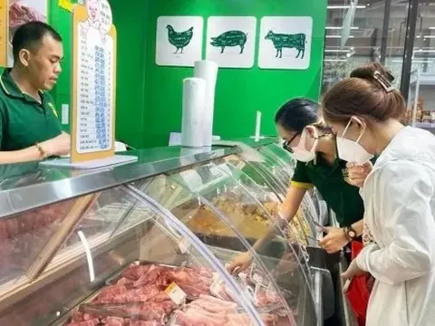 Giá heo hơi hôm nay 8/11: Miền Bắc tiếp đà giảm; miền Trung - Tây Nguyên, miền Nam đi ngang