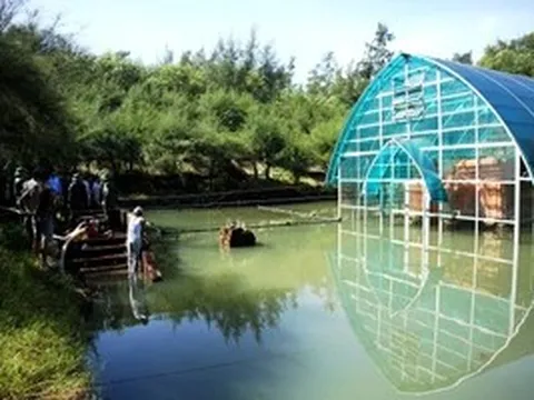 Phê bình đơn vị quản lý để di tích Tháp Chăm Phú Diên ngập nước kéo dài