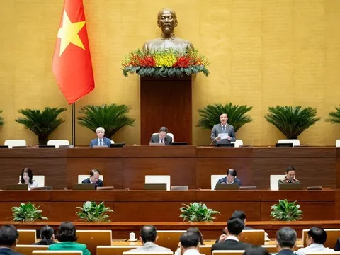 Cân nhắc kỹ các yếu tố được xem là tình tiết để xét giảm án