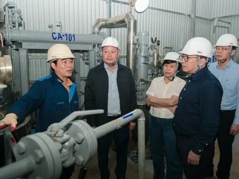 BSR đẩy nhanh tiến độ nghiên cứu nhiên liệu dầu diesel sinh học