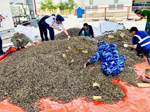 Điều tra vụ nhập hơn 25 tấn vỏ đạn quân dụng về cảng Hải Phòng