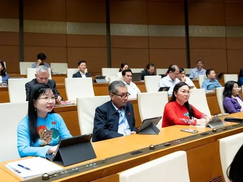 Đại biểu Quốc hội đề nghị làm rõ quyền viên chức tham gia doanh nghiệp