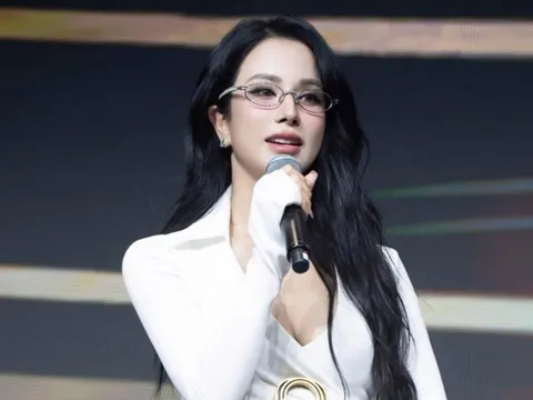 Diệp Lâm Anh phản pháo cực gắt sau tâm thư của chồng cũ