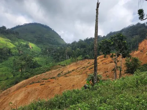 Đà Nẵng: Sạt lở núi ở xã biên giới, sơ tán khẩn cấp hơn 200 người