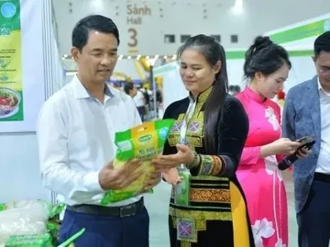 Mở rộng cơ hội giao thương, tiêu thụ và phát triển thị trường cho dược liệu Việt Nam