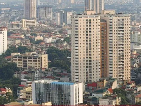 Thu nhập của lãnh đạo doanh nghiệp bất động sản trong quý III/2025 ra sao?