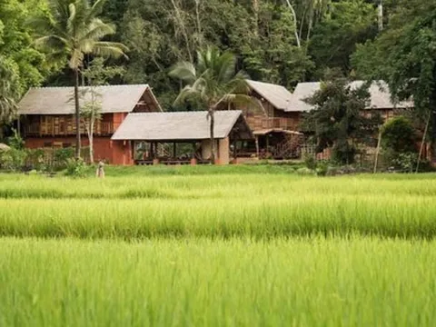 Bán chung cư 6,5 tỷ giữa Hà Nội để về miền Trung “sống chậm”, một năm sau, đôi vợ chồng trẻ nhận ra: Bình yên chưa thấy, hối hận đã tràn ngập