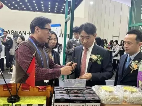 Việt Nam đang khẳng định vai trò dẫn dắt trong quan hệ thương mại và đầu tư ASEAN-Hàn Quốc