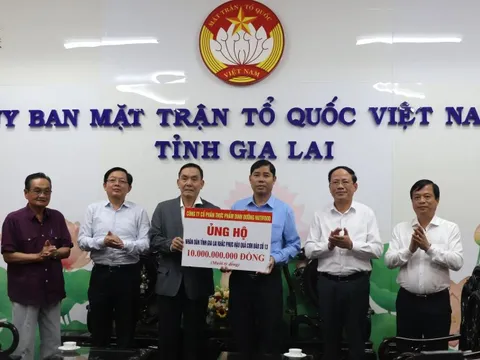 Nutifood hỗ trợ tỉnh Gia Lai 10 tỷ đồng khắc phục hậu quả bão số 13