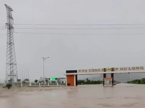 Lũ lớn tại Khu công nghiệp Du Long, EVNCPC chủ động cắt điện nhằm bảo đảm an toàn