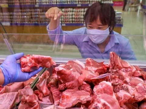 Giá heo hơi hôm nay 19/11: Tăng trên cả 3 miền