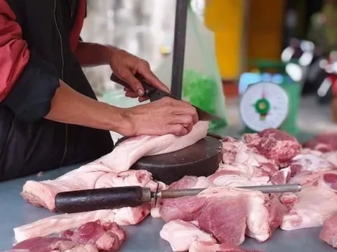 Giá heo hơi hôm nay 20/11: Thị trường điều chỉnh tích cực, giao dịch trong khoảng 46.000 - 51.000 đồng/kg