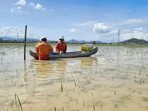 Hơn 553.000 khách hàng miền Trung - Tây Nguyên mất điện do mưa lũ