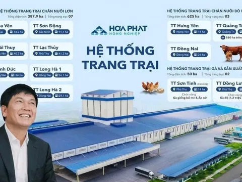 Bí mật 10.700 tỷ: Giải mã cách Tỷ phú Trần Đình Long nuôi heo, bò, gà đạt tỷ suất sinh lời gấp đôi đối thủ