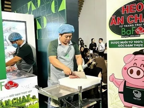 Giá heo hơi hôm nay 23/11: Miền Bắc dẫn đầu cả nước về mức giá, miền Trung – Tây Nguyên ghi nhận mức tăng tại một số tỉnh