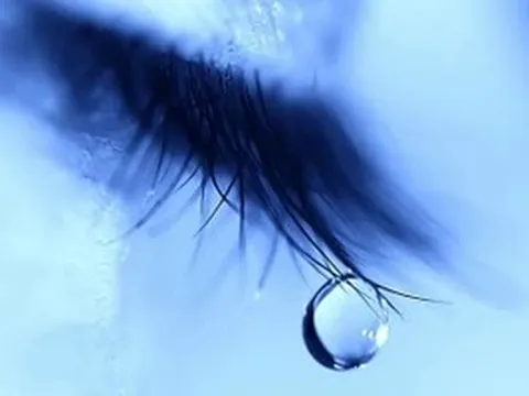 Cảm thụ văn học: Những sự thể lạ phát sáng