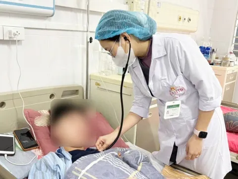 Nam sinh nguy kịch sau khi bị heo cắn 0