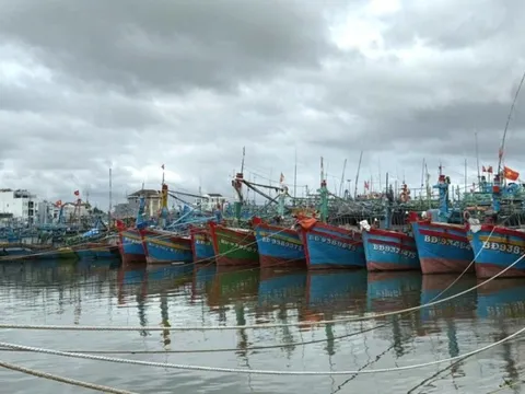 Gia Lai, Khánh Hòa: Khẩn trương triển khai các biện pháp cấp bách ứng phó bão số 15