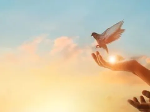 Cà phê ngày mới: Thoát bẫy ổn định và thành công