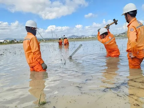 Khôi phục điện sau bão số 13 tại Gia Lai: Cuộc chạy đua với 3 kỷ lục