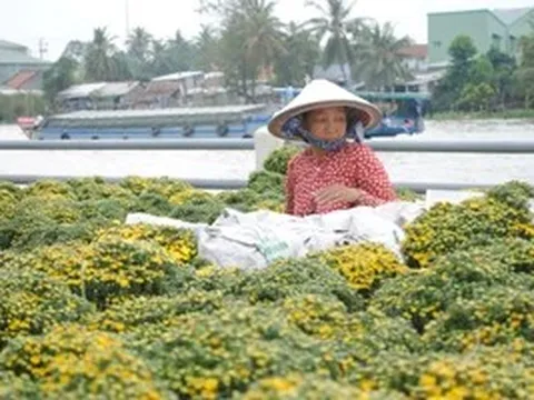 Nghề trồng hoa kiểng Sa Đéc trở thành Di sản văn hóa phi vật thể quốc gia