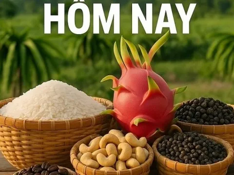 Giá nông sản hôm nay 27/12/2025: Giá cà phê vẫn tích cực, cung-cầu đang thực nghiêng bên nào? Cập nhật thông tin gần 500 container chè 'mắc kẹt'