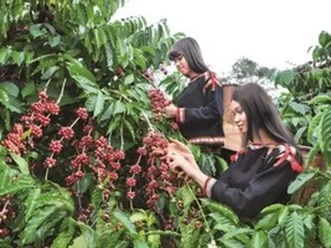 Không ‘địa phương hóa’ di sản khi xây dựng hồ sơ UNESCO