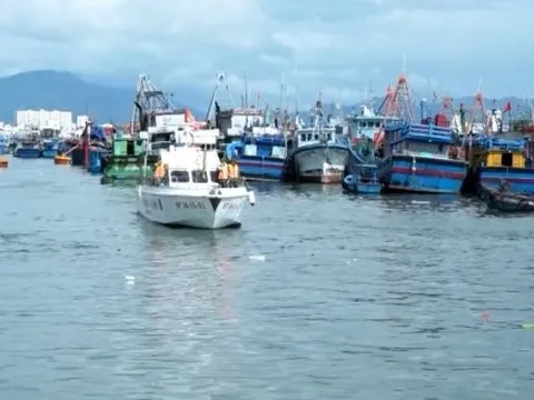 Chống khai thác IUU: Khánh Hòa đồng hành cùng ngư dân; Cà Mau tạo chuyển biến toàn diện