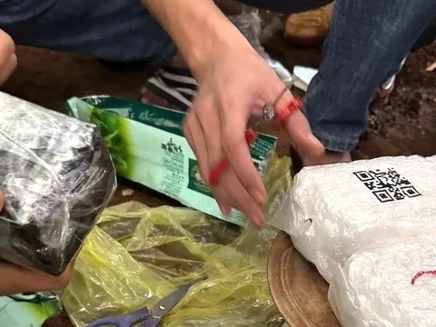 Phê chuẩn khởi tố 8 bị can trong vụ án ma túy lớn nhất lịch sử Đắk Lắk